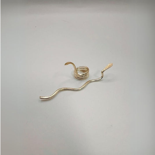 Silver Naag Nagin Joda for Shiv Ji Pooja and Temple Rituals